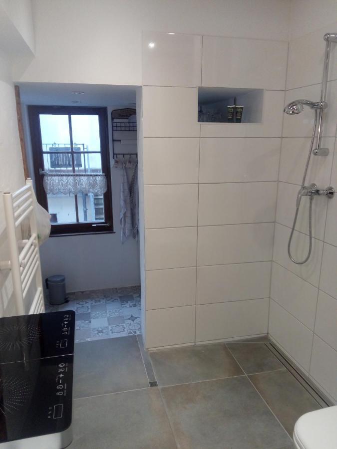 See- Und Altstadthaeusle - Alles Direkt Vor Der Haustuer - Bodenseeufer Natur Altstadt Bahnhof Bora-Sauna - Klein Und Super Zentral Zum See Oepnv Stadt Natur Etc - Appartement Historica Радольфцелль-ам-Бодензе Екстер'єр фото