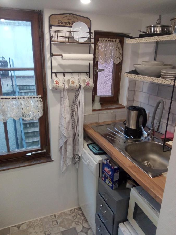 See- Und Altstadthaeusle - Alles Direkt Vor Der Haustuer - Bodenseeufer Natur Altstadt Bahnhof Bora-Sauna - Klein Und Super Zentral Zum See Oepnv Stadt Natur Etc - Appartement Historica Радольфцелль-ам-Бодензе Екстер'єр фото